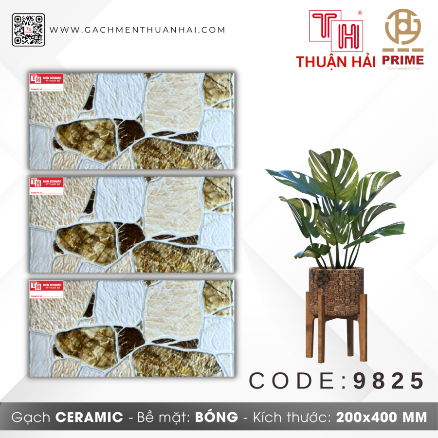 GẠCH TRANG TRÍ 20x40 PRIME 9825