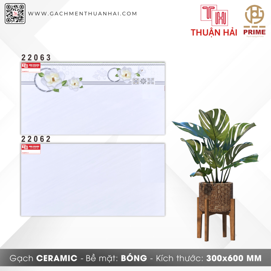 GẠCH ỐP TƯỜNG 30x60 PRIME 22063 - 22062