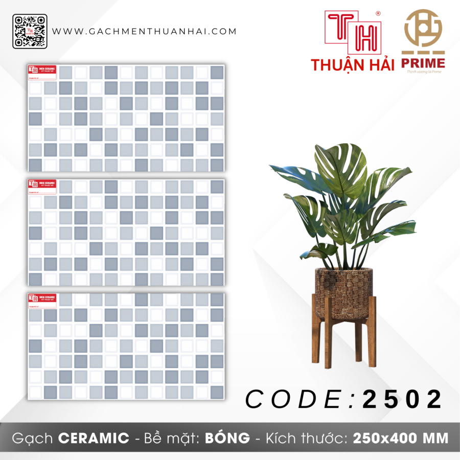 GẠCH TRANG TRÍ 25x40 PRIME 2502