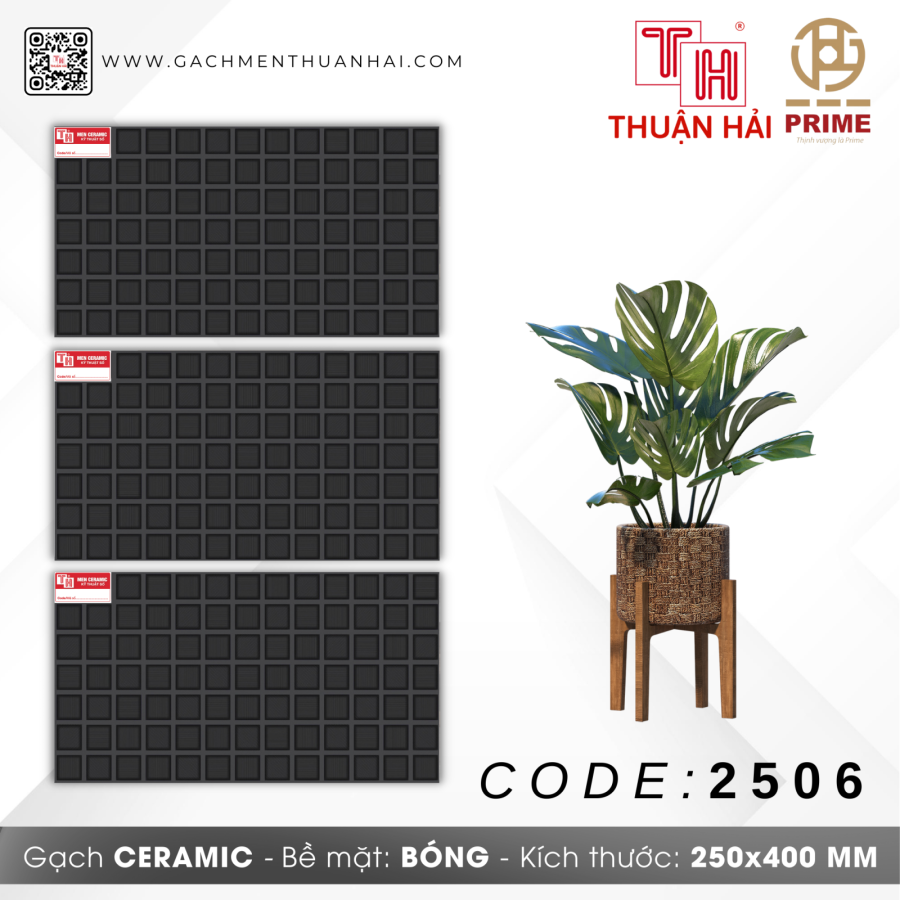 GẠCH TRANG TRÍ 25x40 PRIME 2506
