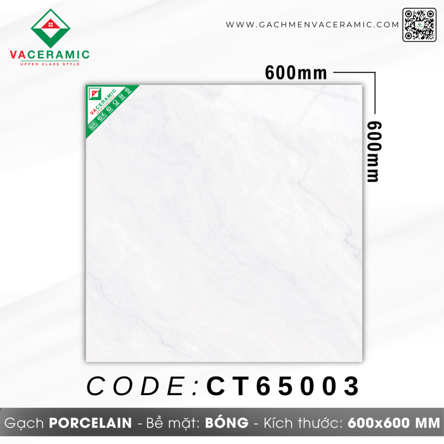 GẠCH LÁT NỀN 60x60 CATALAN CT66053