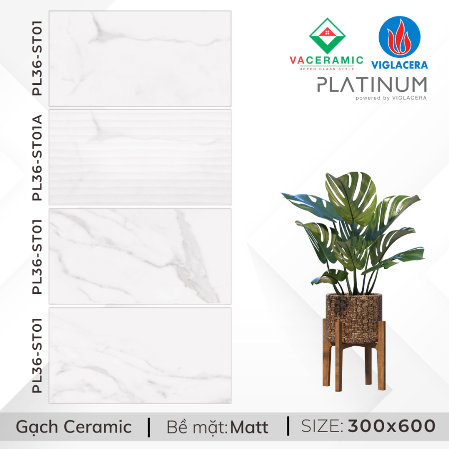 GẠCH ỐP TƯỜNG 30x60 VIGLACERA PL36-ST01-01A