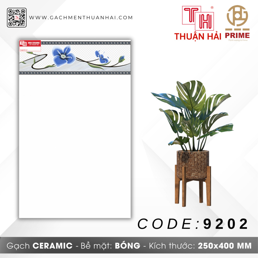 GẠCH TRANG TRÍ 25x40 PRIME 9202