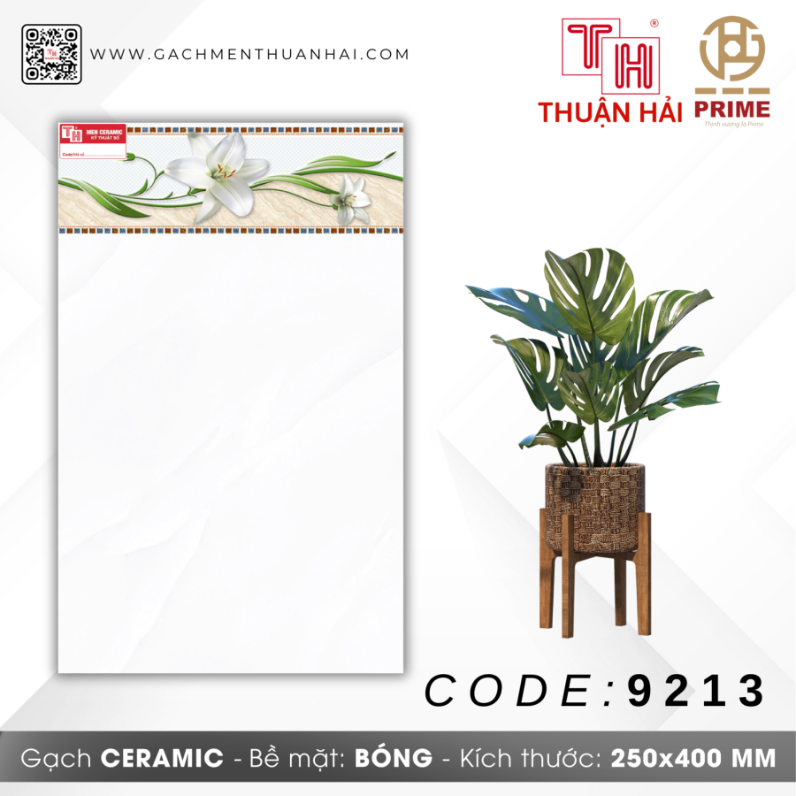 GẠCH TRANG TRÍ 25x40 PRIME 9213