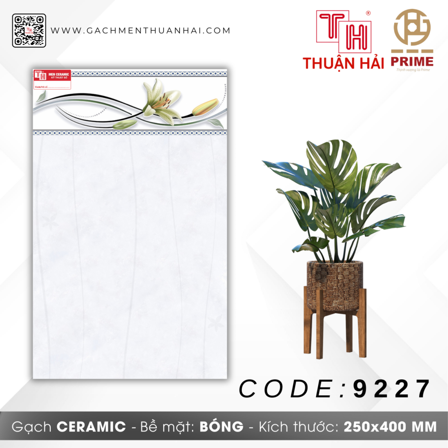 GẠCH TRANG TRÍ 25x40 PRIME 9227