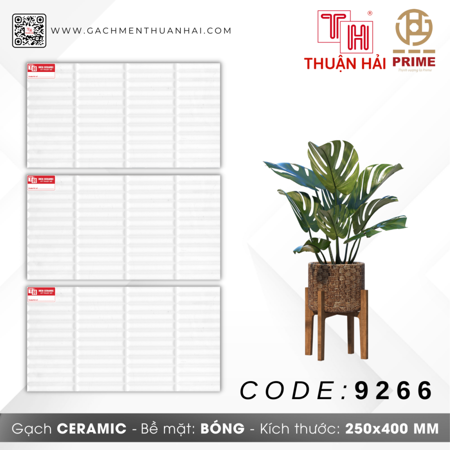 GẠCH TRANG TRÍ 25x40 PRIME 9266