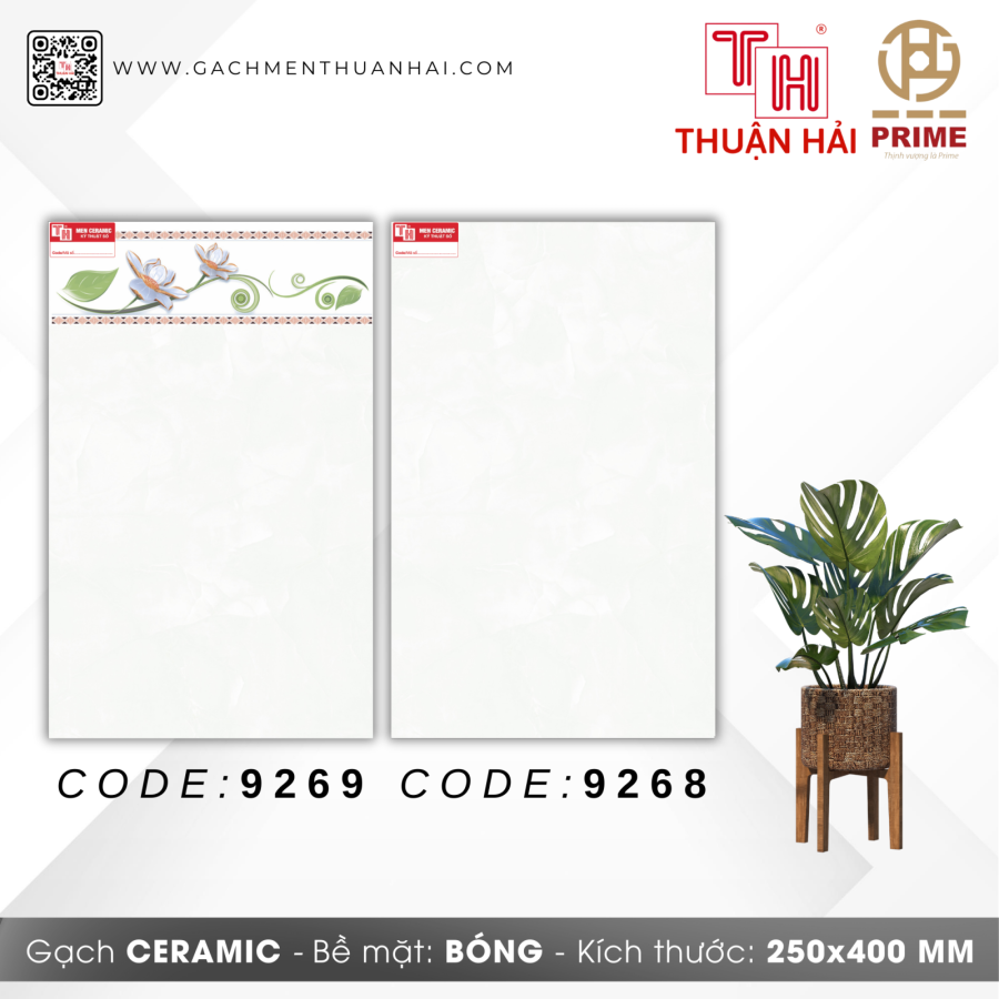 GẠCH TRANG TRÍ 25x40 PRIME 9269 - 9268