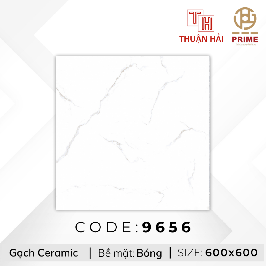 GẠCH LÁT NỀN 60x60 PRIME 9656