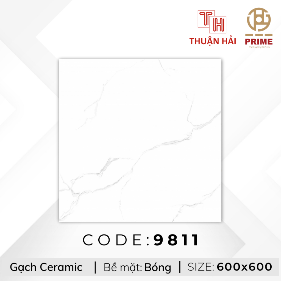 GẠCH LÁT NỀN 60x60 PRIME 9811