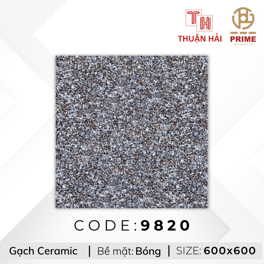 GẠCH LÁT NỀN 60x60 PRIME 9820