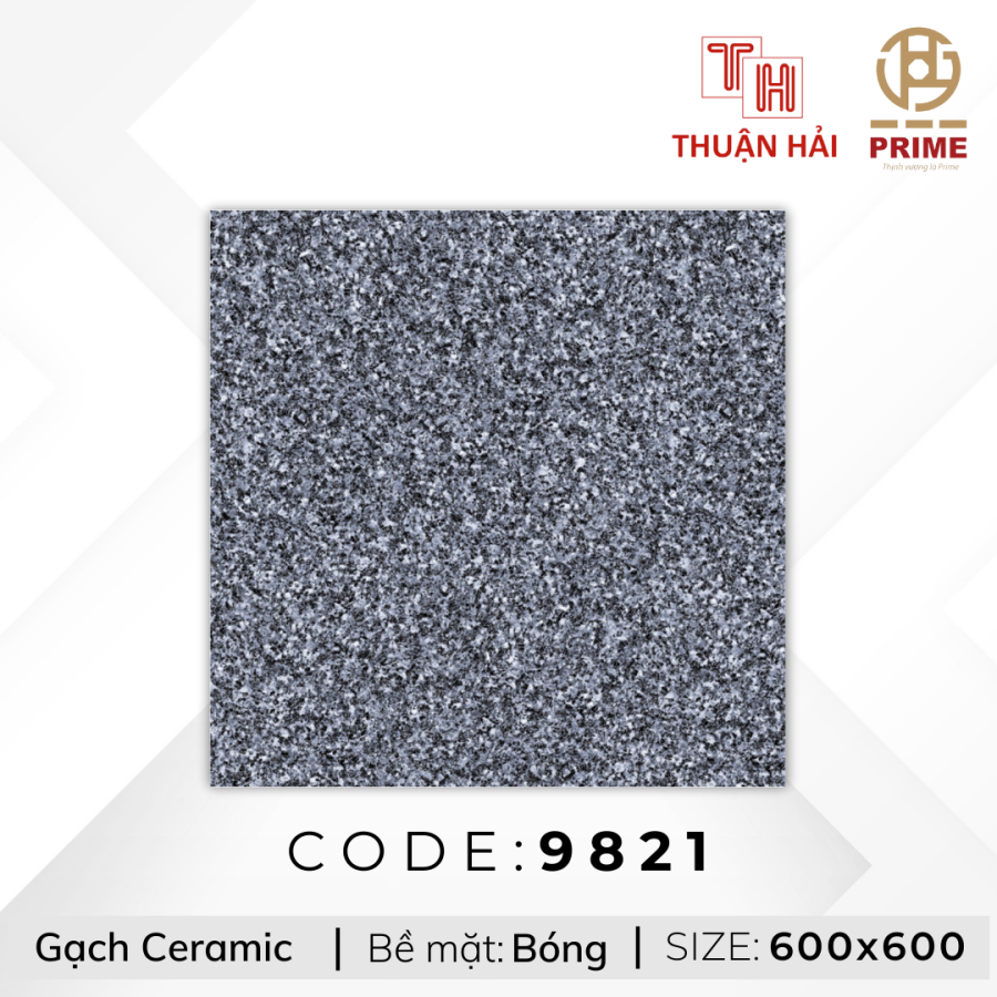 GẠCH LÁT NỀN 60x60 PRIME 9821