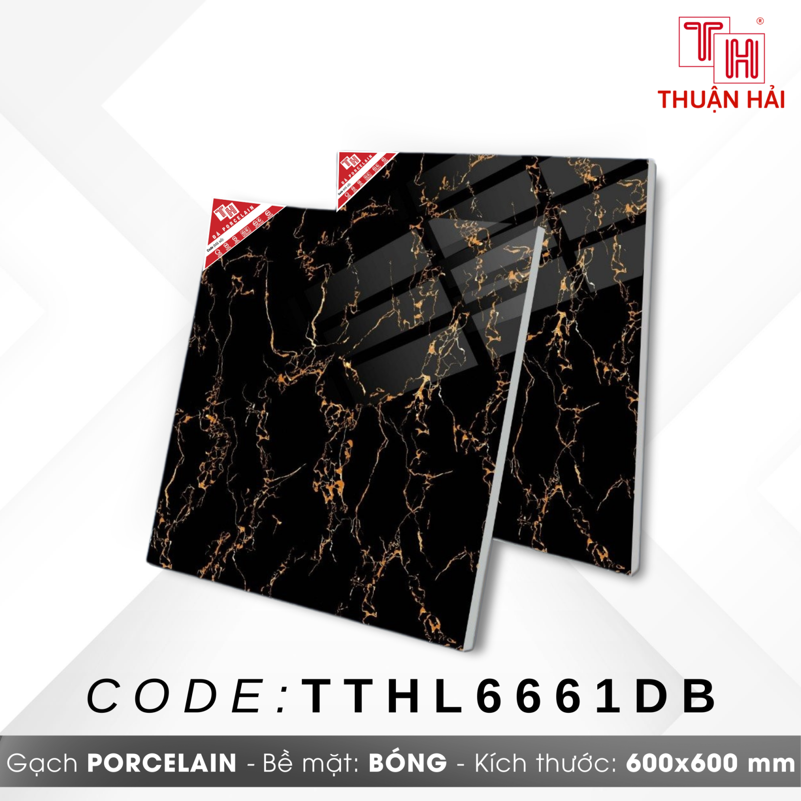 GẠCH LÁT NỀN 60x60 HÀ THANH L6661DB