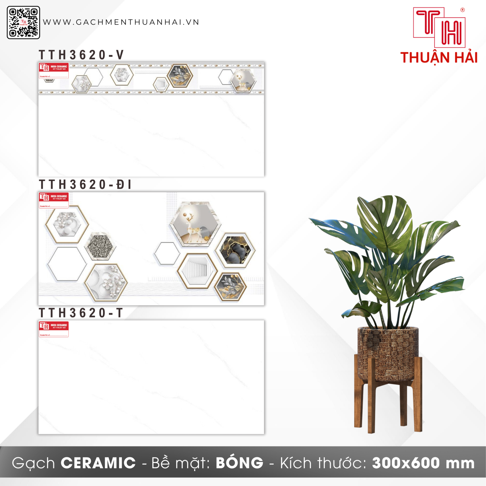 GẠCH ỐP TƯỜNG 30x60 HÀ THANH 3620 V - 3620 ĐI - 3620 T