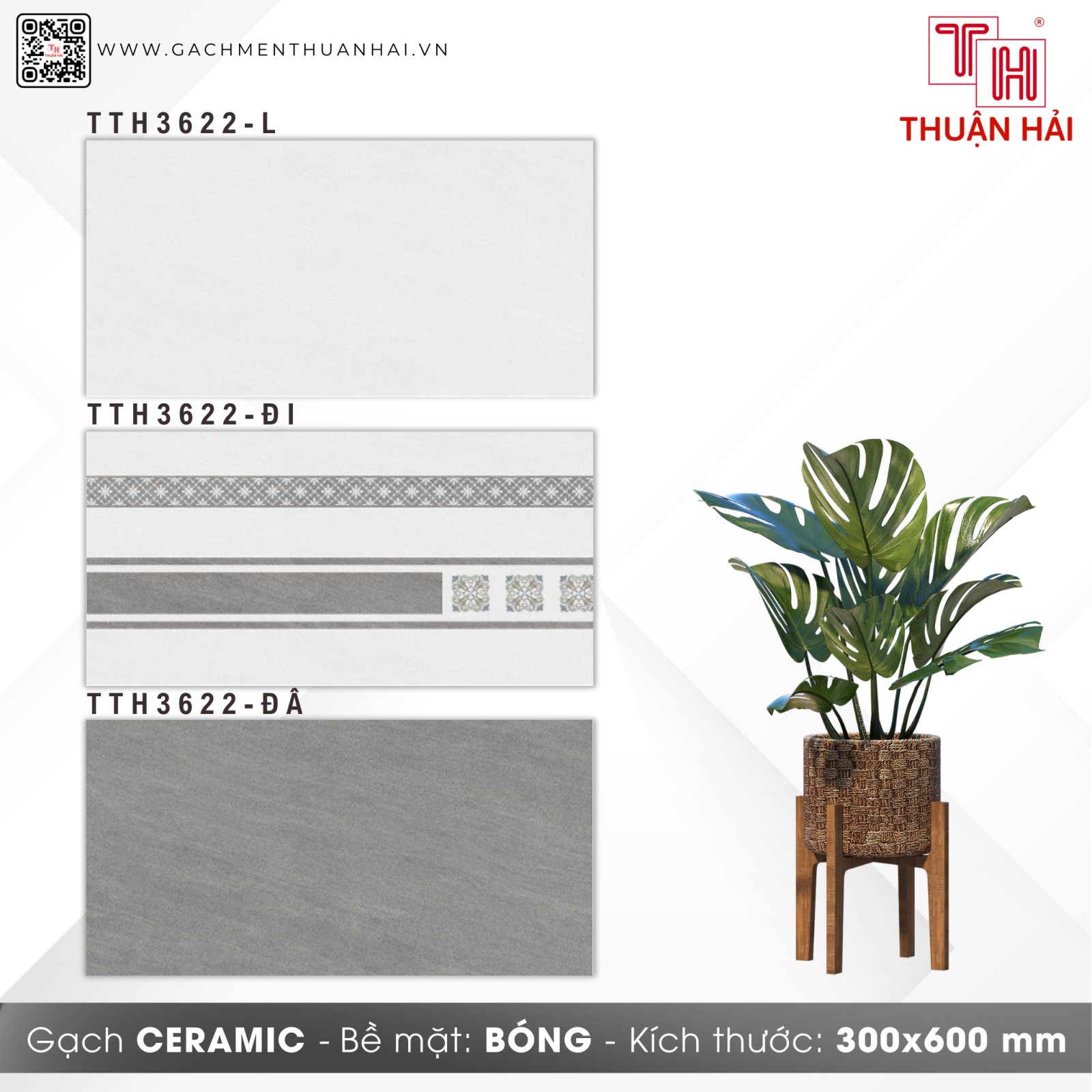 GẠCH ỐP TƯỜNG 30x60 HÀ THANH 3622 L - 3622 ĐI - 3622 ĐÂ