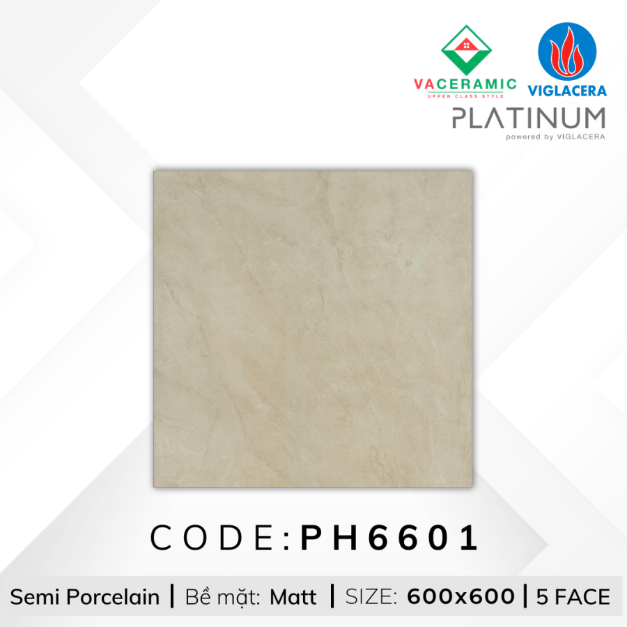 GẠCH LÁT NỀN 60x60 VIGLACERA PH6601